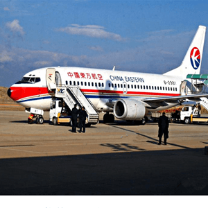 滨海空运公司航空快运业稳步发展的原因是什么？